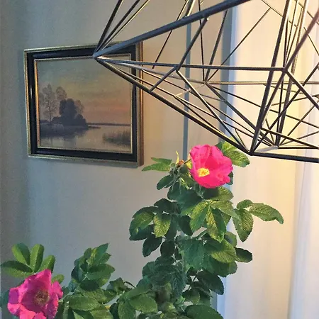 Ruthenberg Heringsdorf (Usedom)